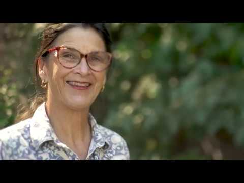 Napa Valley Zinfandel Stories